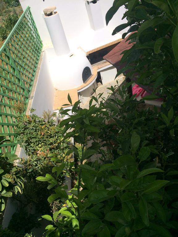 Villa Irida Psari Forada Zewnętrze zdjęcie